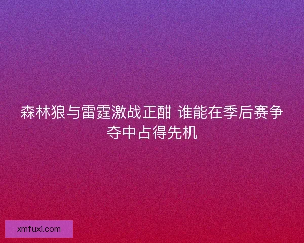 森林狼与雷霆激战正酣 谁能在季后赛争夺中占得先机