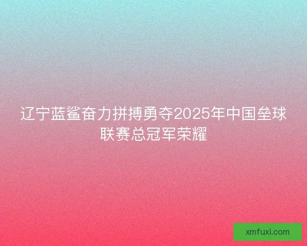 辽宁蓝鲨奋力拼搏勇夺2025年中国垒球联赛总冠军荣耀